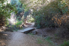 DSCN2698_resize