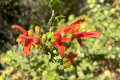 IMG_1204_resize
