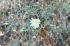 IMG_1218_resize