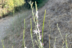 IMG_1220_resize