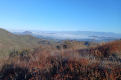 1000000328_resize