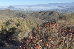 IMG_4280_resize