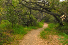 DSCN4110_resize