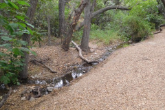 DSCN4111_resize