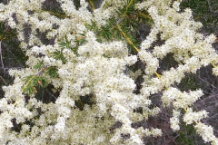 DSCN4113_resize