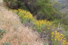 DSCN4117_resize