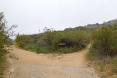 DSCN4120_resize