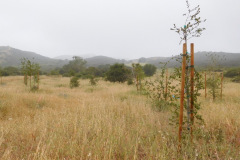 DSCN4121_resize