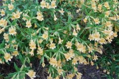 DSCN4126_resize