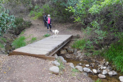 DSCN1968_resize