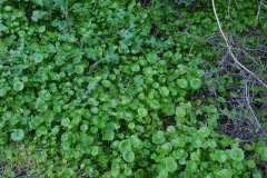 DSCN1973_resize