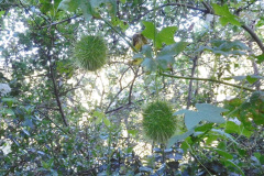 DSCN1977_resize