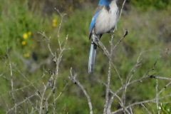 DSCN1978_resize