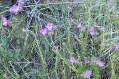 DSCN1983_resize