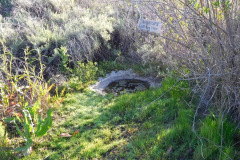 DSCN1984_resize
