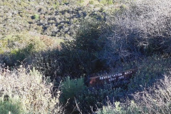 DSCN1997_resize