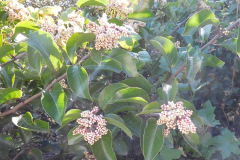 DSCN1998_resize