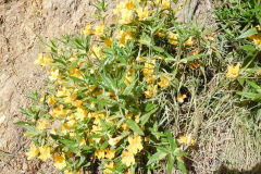 DSCN2023_resize