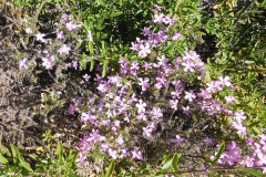 DSCN2024_resize
