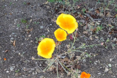 DSCN2029_resize