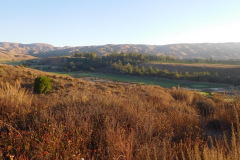 DSCN2918_resize