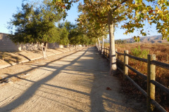 DSCN2920_resize