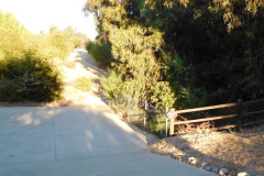 DSCN2921_resize
