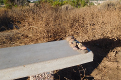 DSCN2928_resize