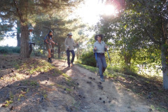 DSCN2931_resize