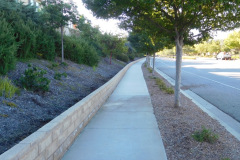 DSCN2933_resize