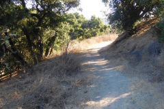 DSCN2940_resize