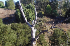 DSCN2943_resize