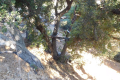 DSCN2944_resize