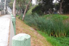 DSCN3037_resize