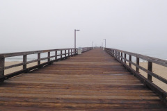 DSCN3045_resize