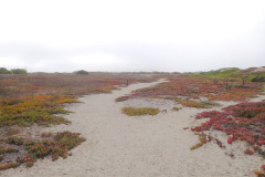 DSCN3056_resize
