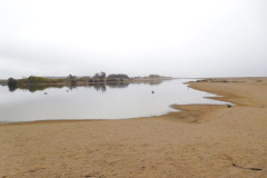 DSCN3062_resize