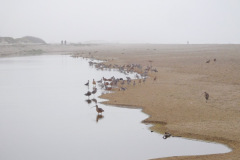 DSCN3065_resize