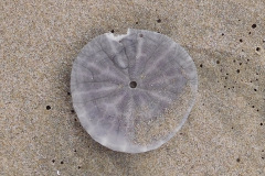 DSCN3072_resize
