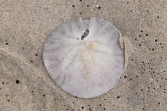 DSCN3073_resize