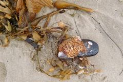DSCN3074_resize