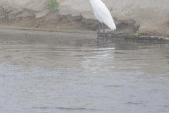 DSCN3080_resize