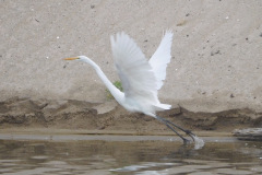 DSCN3083_resize