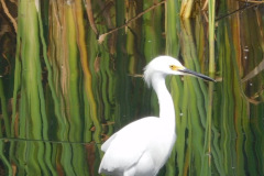 DSCN3091_resize