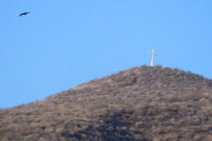DSCN3439_resize