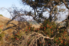 DSCN3442_resize