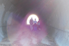 DSCN3458_resize