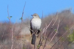 DSCN3461_resize