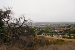 DSCN4460_resize