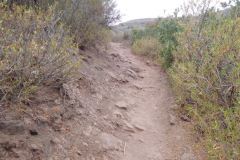 DSCN4461_resize
